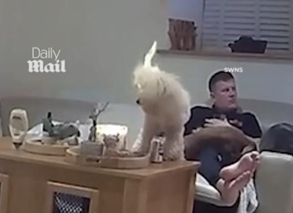 ФОТО: скрин из видео Daily Mail