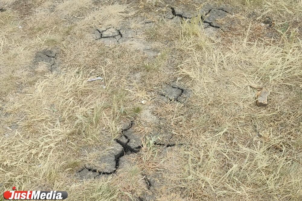 Свердловская область недополучила катастрофически много осадков на юге в последние 30 лет - Фото 1