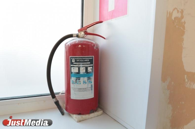 Суд признал законным увольнение полицейского, усмирившего соседку огнетушителем - Фото 1