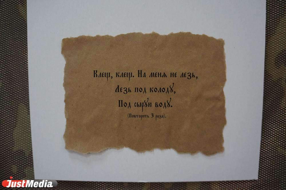 За несколько дней марта клещи покусали 14 свердловчан - Фото 1