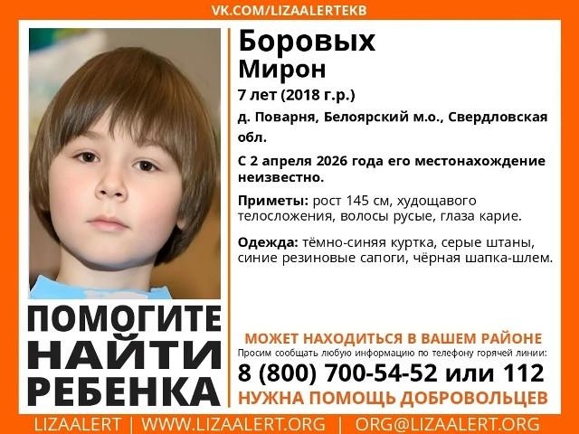 Семилетний мальчик пропал в деревне под Екатеринбургом - Фото 1