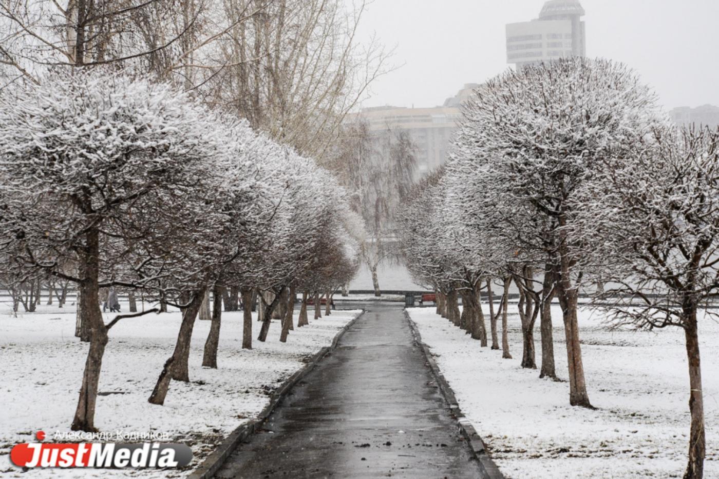 В середине недели в Екатеринбурге резко похолодает, и пойдет снег - Фото 1