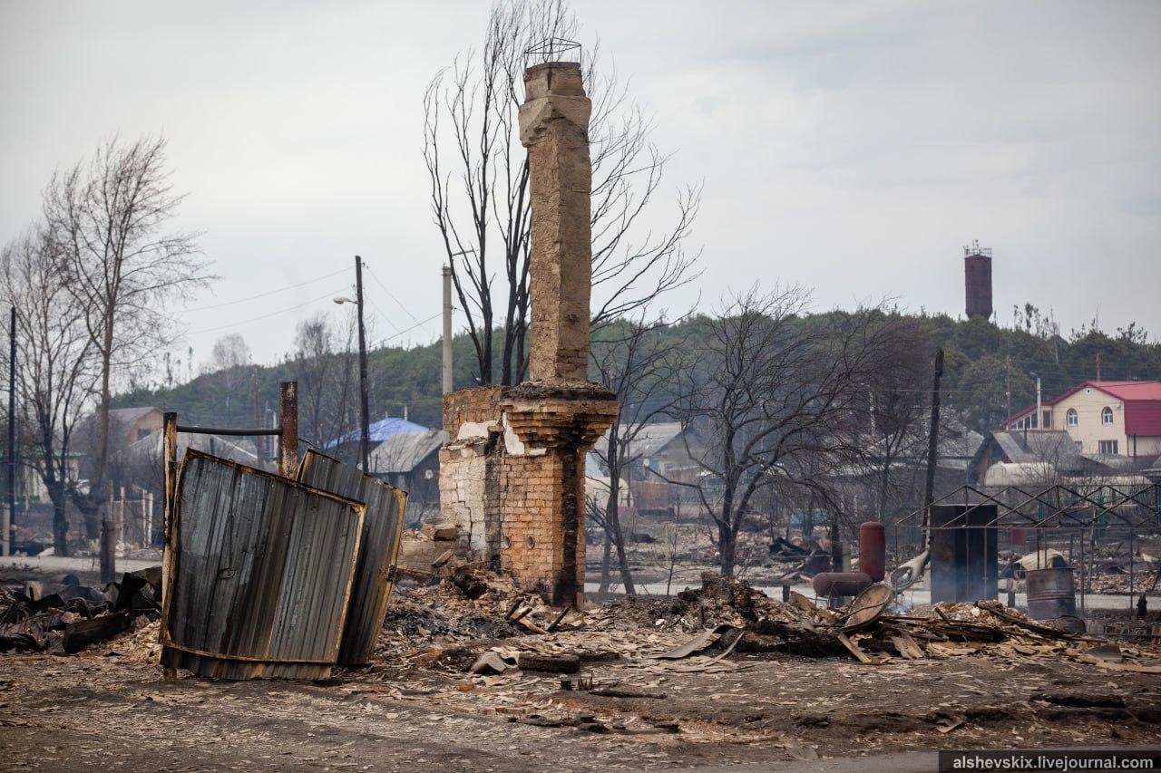 ФОТО: Андрей Альшевских
