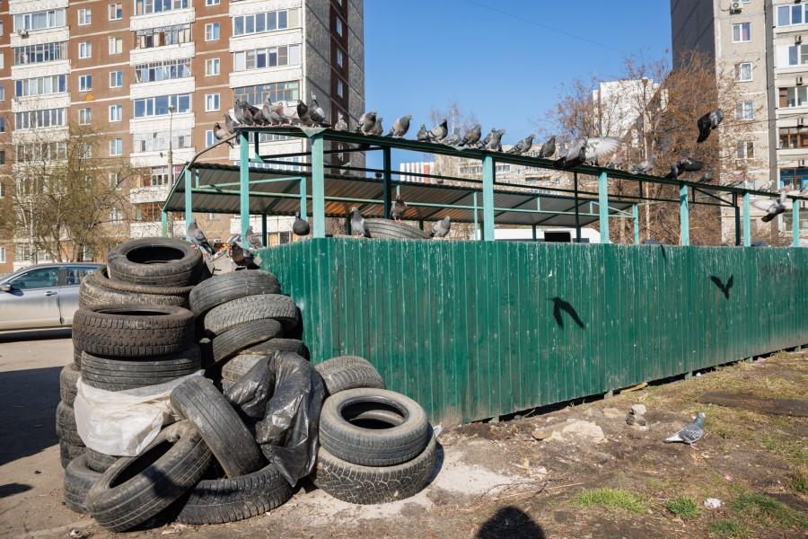 Владимир Гейко поручил ликвидировать свалки на контейнерных площадках - Фото 1