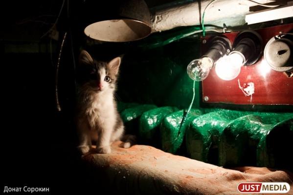 В части домов Екатеринбурга батареи включат на максимум - Фото 1