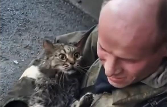 В Тюмени пожарный откачал двух кошек, пострадавших в пожаре - Фото 1