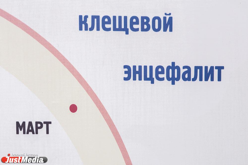 До конца недели в Свердловскую область поступит первая партия детской вакцины против клещевого энцефалита - Фото 1