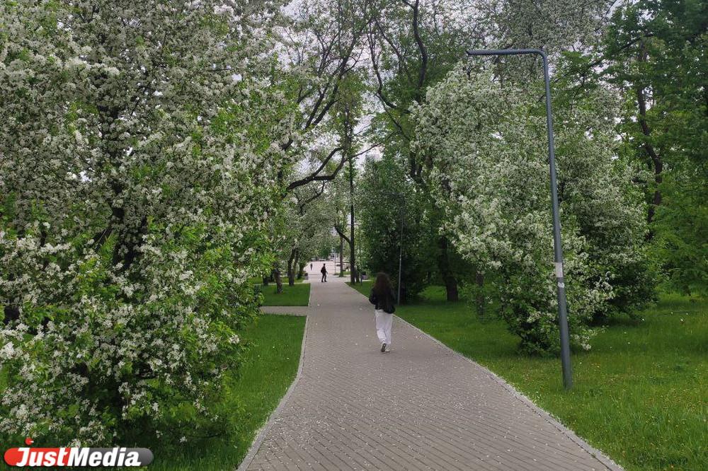 В Екатеринбурге появились аллея Волонтеров и сквер Генерала Устинова  - Фото 1