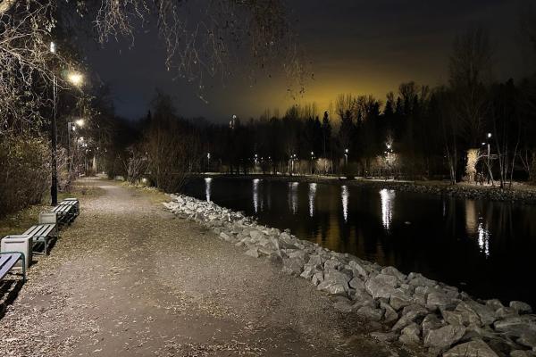 В Дендропарке на Первомайской появилось новое освещение - Фото 1
