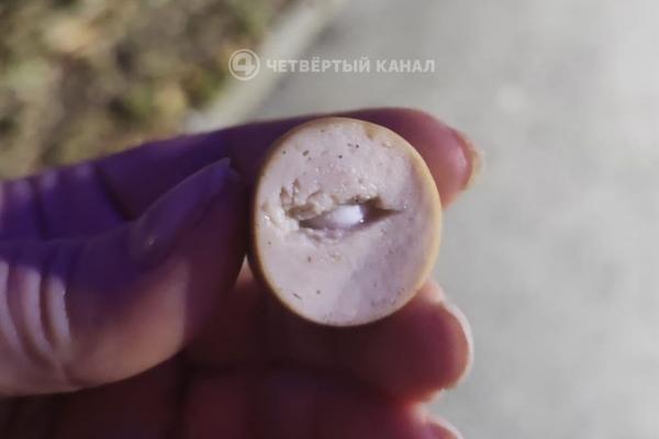 Одна собака погибла, две находятся в тяжелом состоянии из-за догхантера с Эльмаша - Фото 1