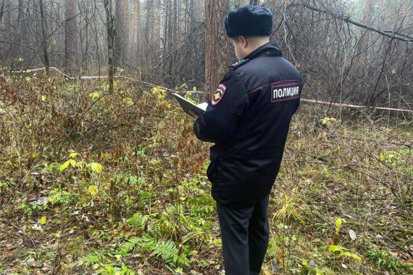 В Екатеринбурге по факту обнаружения тела женщины без головы возбудили уголовное дело - Фото 1