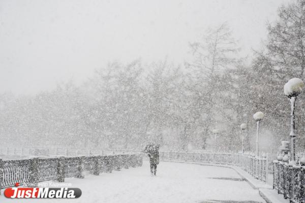 Устойчивого снежного покрова в Екатеринбурге пока ждать не стоит - Фото 1