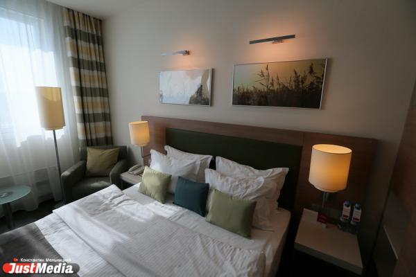 К чему снятся муравьи - Фото 1