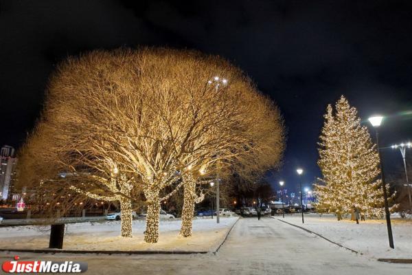 В мэрии рассказали, где в районах Екатеринбурга откроются новогодние елки - Фото 1