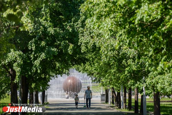 В Екатеринбурге зарплаты работников лесничества и «Зеленстроя» вырастут на треть - Фото 1