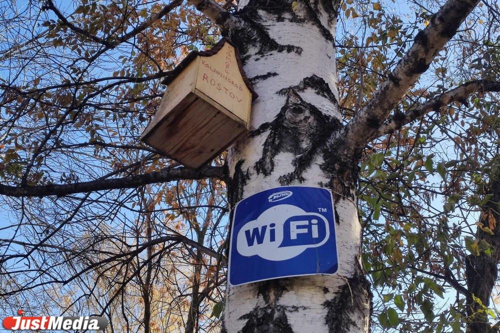Эксперт предупредил екатеринбуржцев об угрозах публичного Wi-Fi - Фото 1