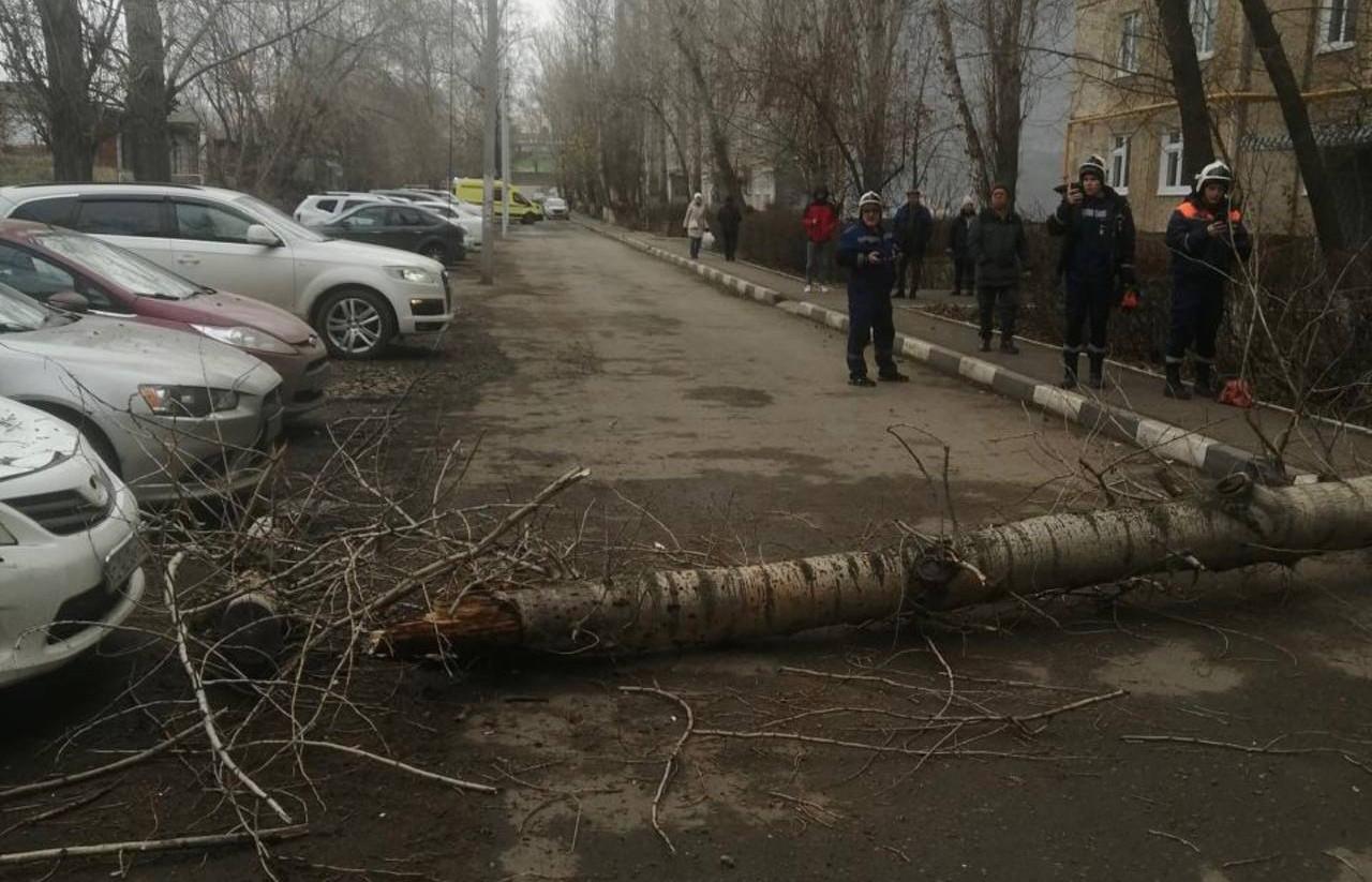 Оренбурженка, на которую упало дерево, отсудила у УК 6 млн рублей - Фото 1