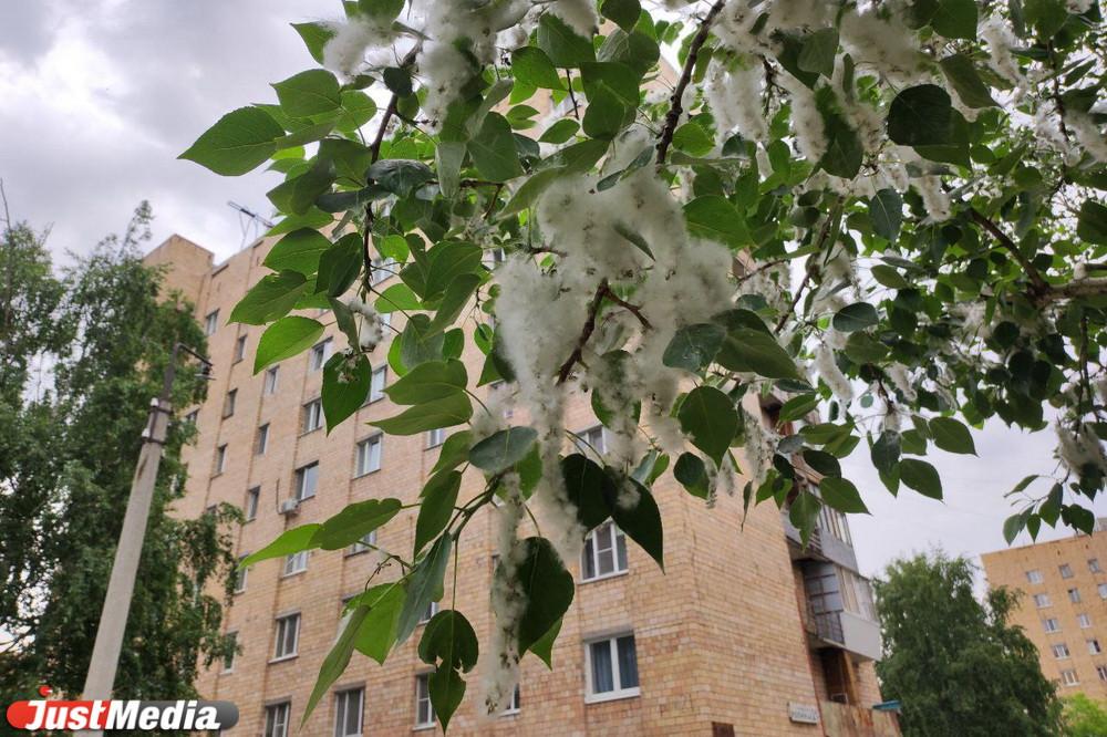 Врачи рассказали, как понять, что есть аллергия и защититься от нее - Фото 1