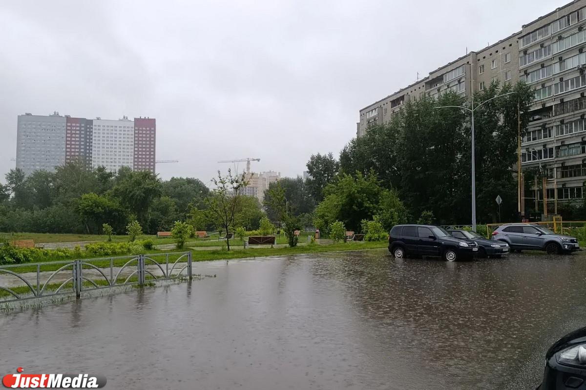 Жители Юго-Запада пожаловались Алексею Вихареву на забитые ливневки - Фото 1