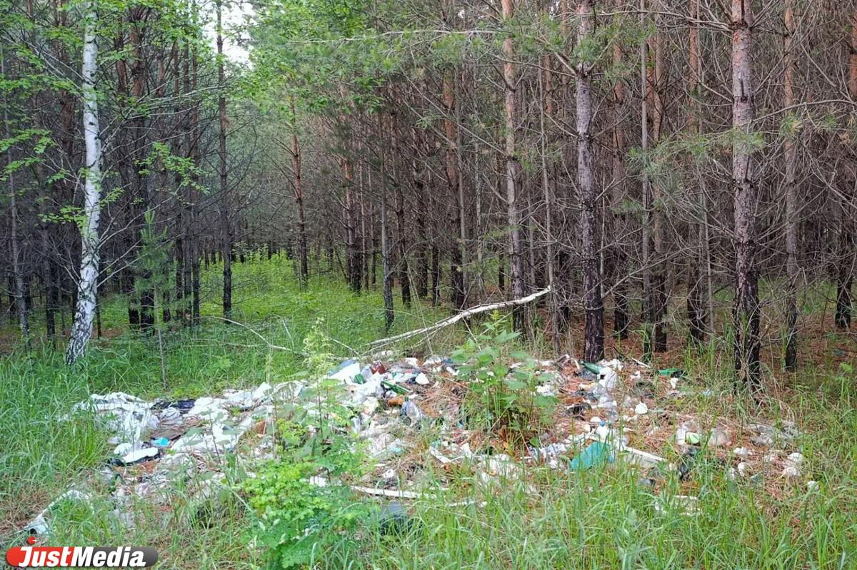20 млн рублей потратят на ликвидацию несанкционированных свалок в Екатеринбурге - Фото 1