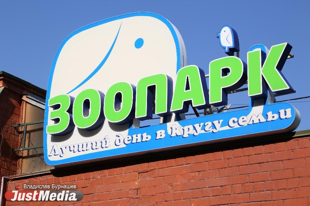Цель в 700 тысяч посетителей в год поставил перед собой зоопарк Екатеринбурга - Фото 1