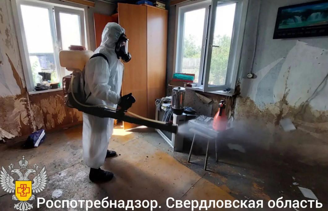 Дезинфекция домов, детских садов и придомовых территорий продолжается в Ирбитском районе - Фото 1