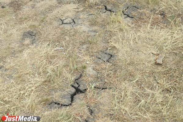 Землетрясение унесло жизни 20 человек в Индонезии - Фото 1