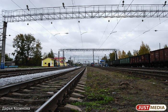 Поезд с детьми уехал без покинувшей вагон ради перекура матери в Германии - Фото 1