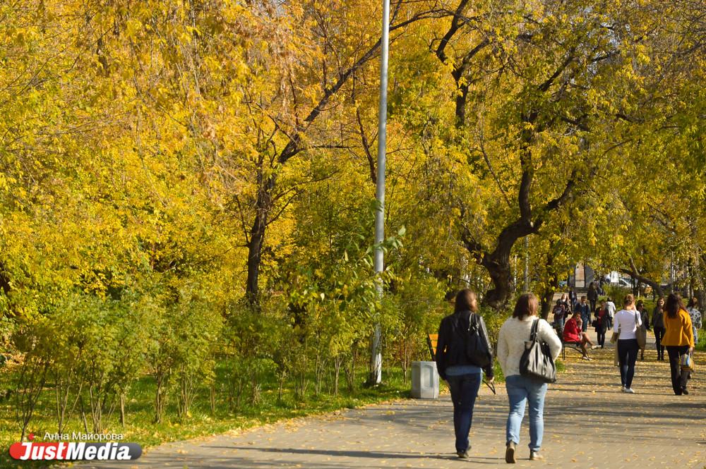 Еще неделю будет +20 градусов в Екатеринбурге - Фото 1