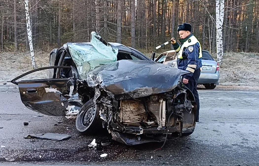 Автоледи на «Киа» в ДТП погубила пассажирку встречной «Шкоды» под Алапаевском - Фото 1