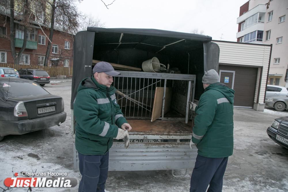 Порядок отлова бродячих собак изменили в Свердловской области - Фото 1