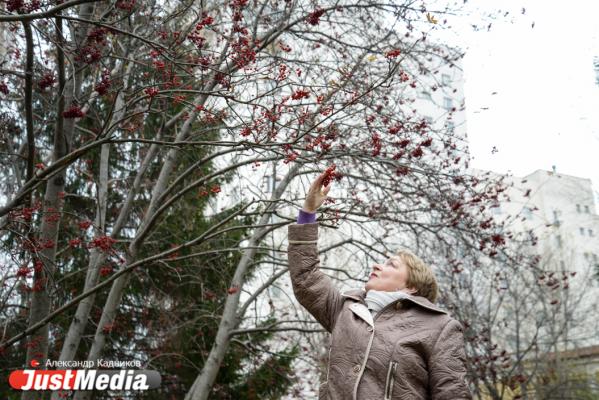 Ирина Скачкова, партия «Яблоко»: «Осенью все застывает в ожидании новой жизни». В Екатеринбурге +11. ФОТО, ВИДЕО - Фото 5