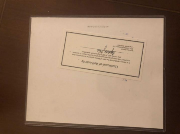 Дешевле Расторгуева. В Екатеринбурге продают автограф Анджелины Джоли - Фото 2