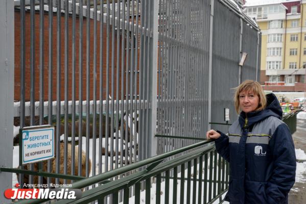 Ольга Антропова, лектор-экскурсовод Екатеринбургского зоопарка: «Я люблю и обожаю лето также как и наши мишки». В Екатеринбурге +2. ФОТО, ВИДЕО - Фото 6