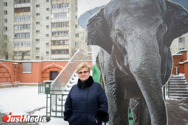Елена Дронова, специалист отдела по СМИ Екатеринбургского зоопарка: «В холода наши питомцы прячутся в домики и не показываются». В Екатеринбурге -9 ФОТО, ВИДЕО - Фото 5