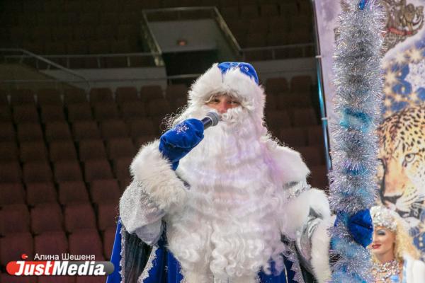 «За одно представление я прохожу 7 километров и трачу 3 600 калорий». Артисты цирка отправят екатеринбуржцев в Лапландию, Королевство птиц и пустыню - Фото 2