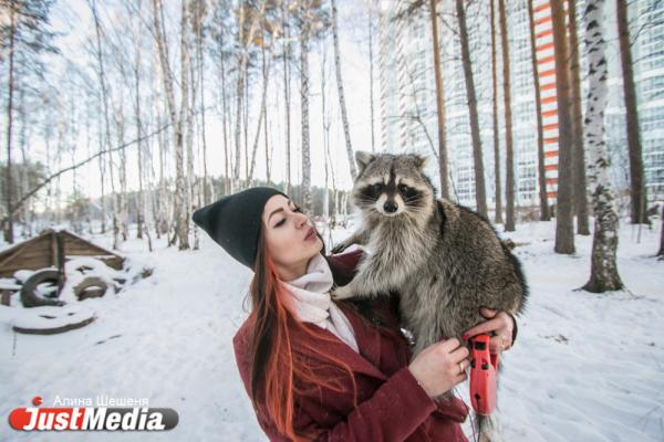 Дарья Вепрева и енот Ракета: «Желаем вам теплых деньков». В Екатеринбурге -11 - Фото 2