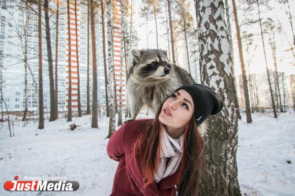 Дарья Вепрева и енот Ракета: «Желаем вам теплых деньков». В Екатеринбурге -11 - Фото 3