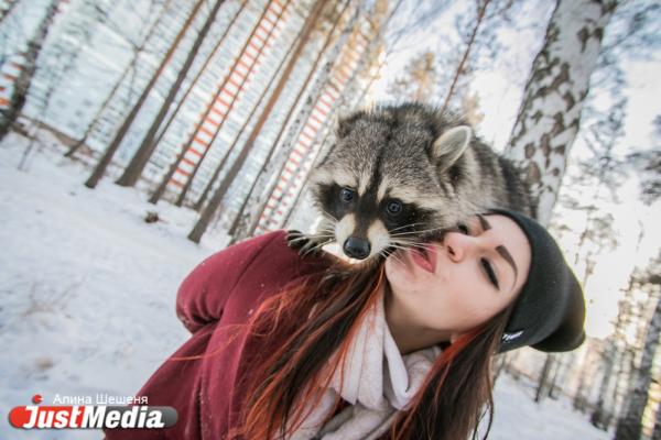Дарья Вепрева и енот Ракета: «Желаем вам теплых деньков». В Екатеринбурге -11 - Фото 4