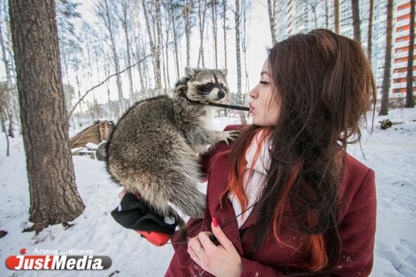Дарья Вепрева и енот Ракета: «Желаем вам теплых деньков». В Екатеринбурге -11 - Фото 5