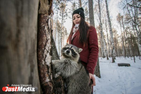Дарья Вепрева и енот Ракета: «Желаем вам теплых деньков». В Екатеринбурге -11 - Фото 7