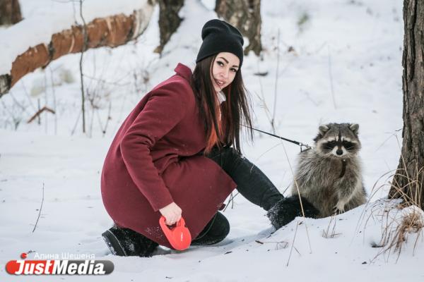 Дарья Вепрева и енот Ракета: «Желаем вам теплых деньков». В Екатеринбурге -11 - Фото 11
