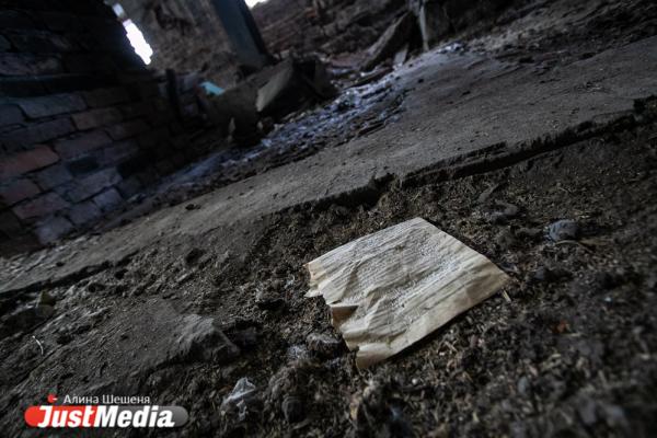 О роскошных приемах времен царской России здесь не напоминает ничего. Показываем и рассказываем о сгоревшей усадьбе Ваганова - Фото 13