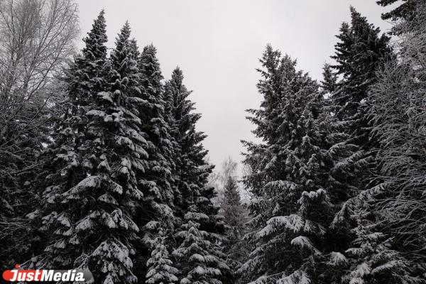 Ищем золото Колчака и исследуем коммуникации старейшего тоннеля под Екатеринбургом. JUSTTRIP - Фото 10