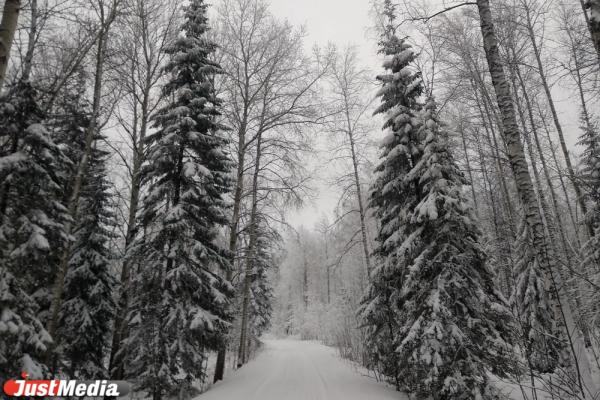 Ищем золото Колчака и исследуем коммуникации старейшего тоннеля под Екатеринбургом. JUSTTRIP - Фото 11