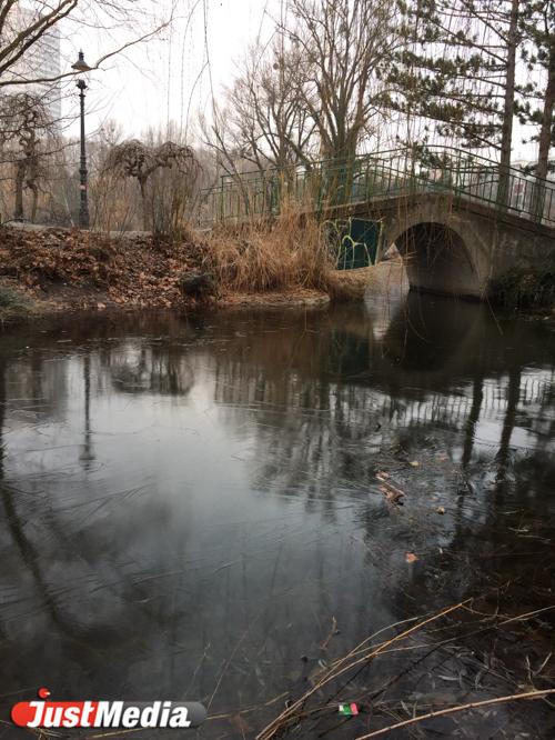 Анна Иванова, Венская русская школа: «Февраль - самый холодный месяц в Вене, как и в Екатеринбурге». В городе -4 - Фото 3