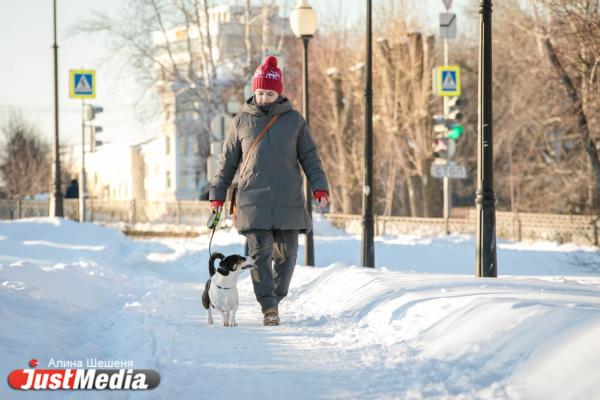 Марина Малофеева, директор лингвистической школы: «Нам с Максом нравится, что на Урале меняются сезоны». В Екатеринбурге 0 градусов - Фото 2