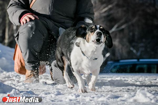 Марина Малофеева, директор лингвистической школы: «Нам с Максом нравится, что на Урале меняются сезоны». В Екатеринбурге 0 градусов - Фото 5