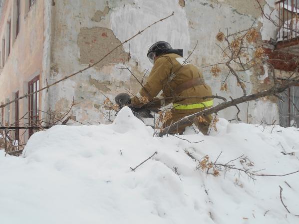  В Нижних Сергах пожарные спасли обессиленную от голода сову   - Фото 2
