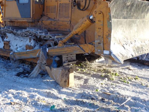 В Екатеринбурге уничтожили 60 килограммов яблок - Фото 3